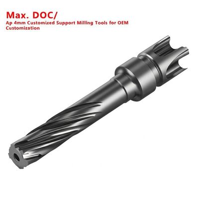 Max. DOC/ Ap 4mm Utensili di fresatura di supporto personalizzati per la personalizzazione OEM